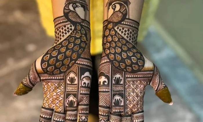 Dhiru Mehandi Artist
